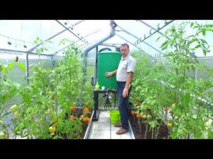 [VIDEO] Do-it-yourself smart greenhouse.