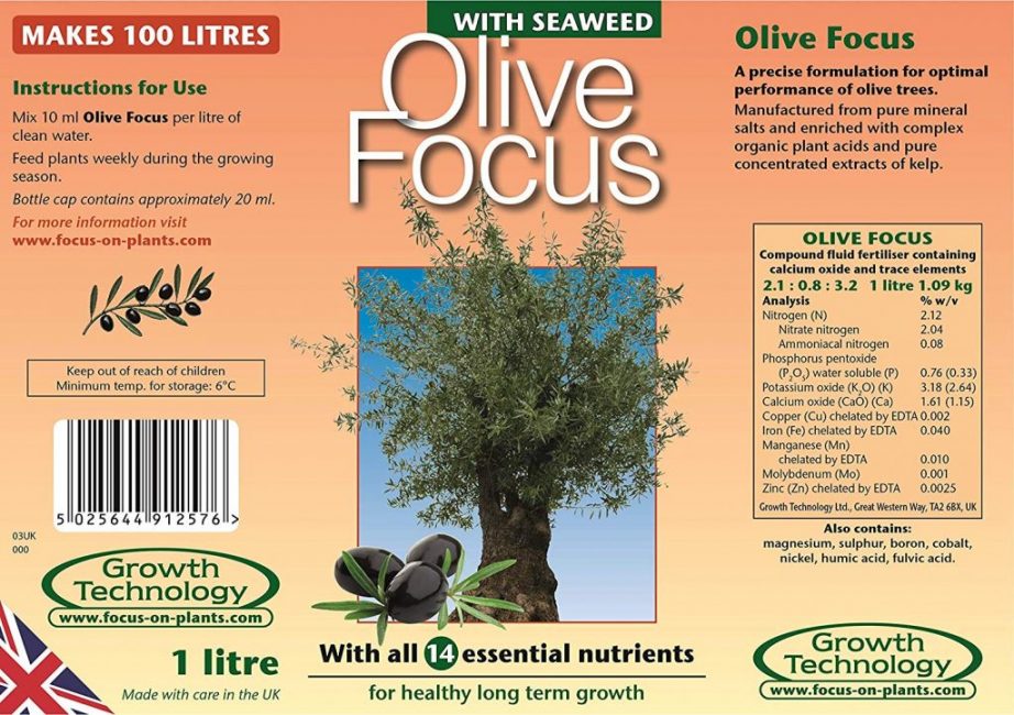 Olive Focus - un fertilizzante specializzato completo per olive