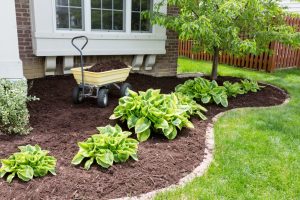 Soil mulching with various materials