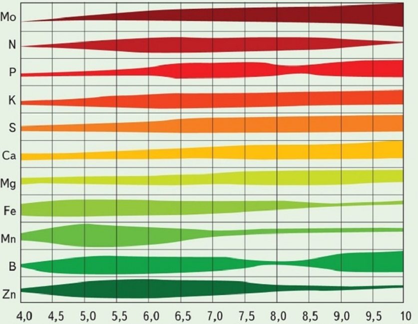 رسم بياني تقريبي لتوافر التغذية المعدنية للنباتات في تربة مختلفة الحموضة (كلما زاد سمكها ، كان امتصاص العناصر الدقيقة أفضل)