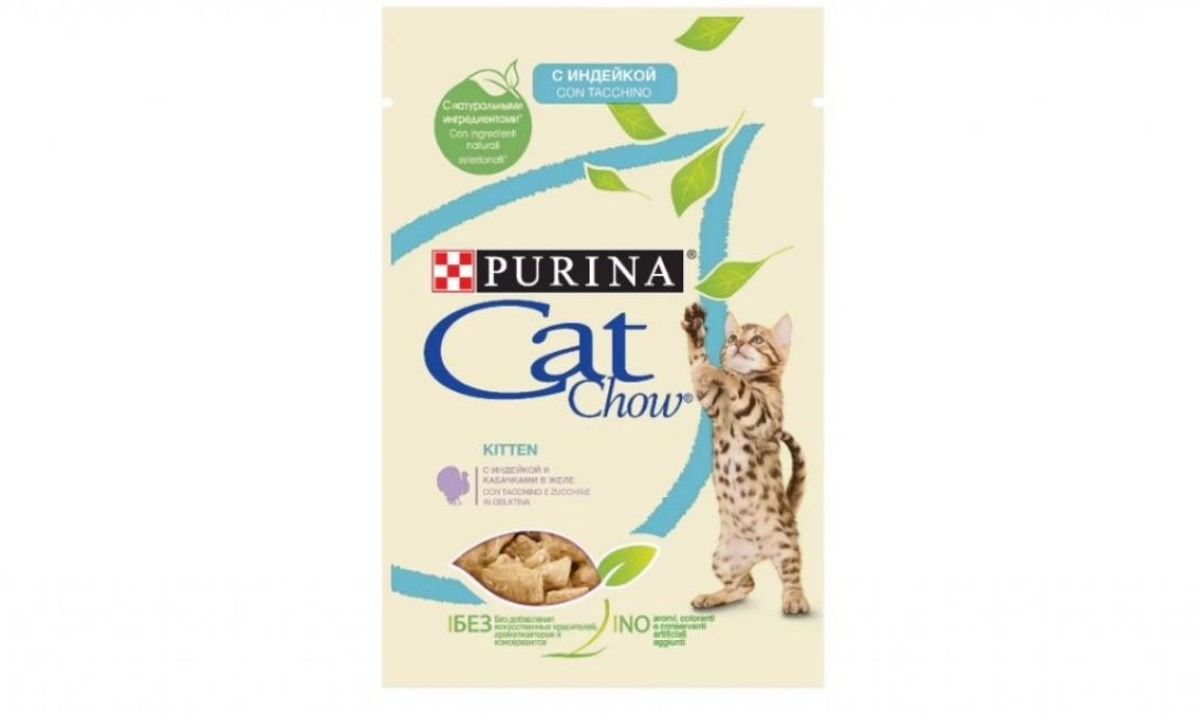 Meilleurs aliments pour chats