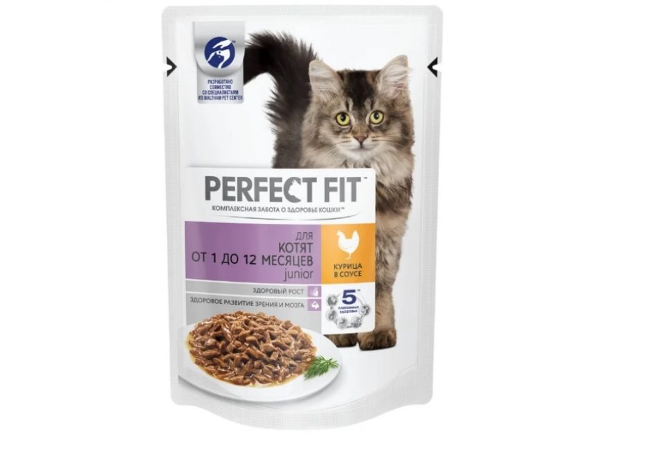 Meilleurs aliments pour chats